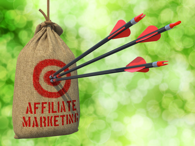 Affiliate Marketing - Arrows Hit in Red Target.
